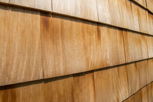 Cost of Cedar Siding Replacement in Evans