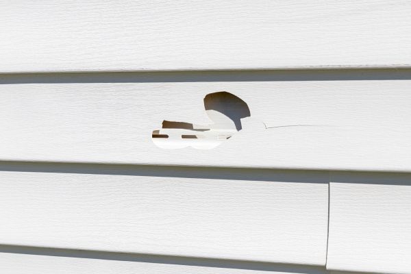 Cost of White Vinyl Siding Repair in Evans